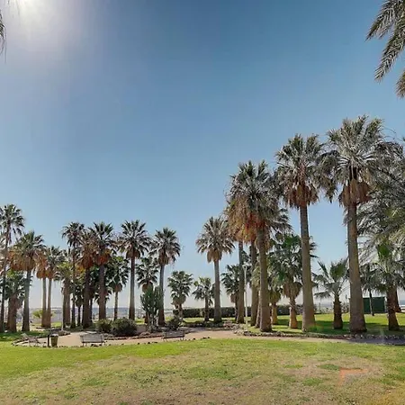 Le Palm - 100m Plage - Croisette - Verriere Cote D'azur Cannes
