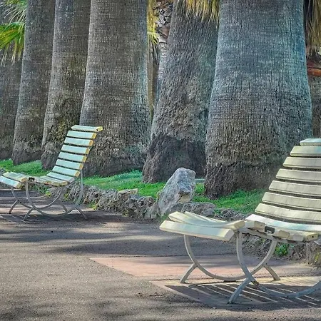 Le Palm - 100m Plage - Croisette - Verriere Cote D'azur Apartment