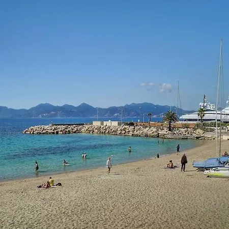 Apartment Le Palm - 100m Plage - Croisette - Verriere Cote D'azur Cannes